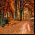 Autumn Wallpapers HD Backgrounds