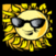 Weather USA