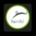 Saarthi