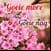 Afrikaans Daily Wishes Messages